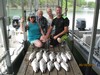 (05/10/2018) - Nice Striped Bass